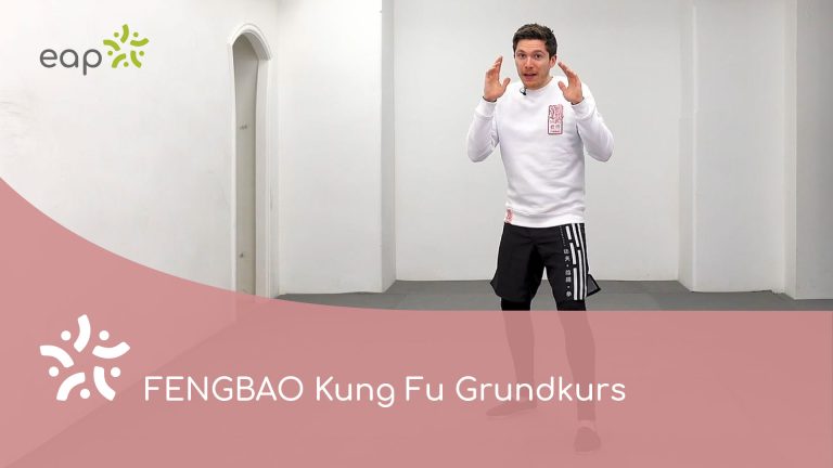 movement fengbao kung fu basic course